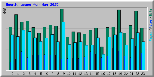 Hourly usage for May 2025